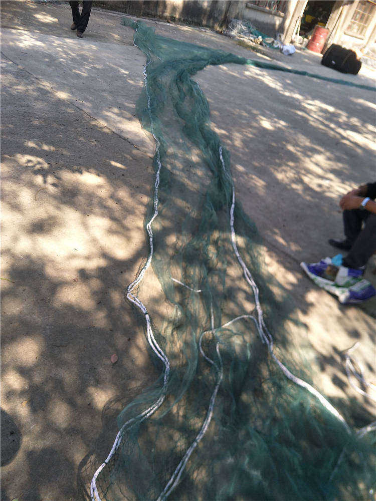 兜网 双翼双囊 双船 拖网 