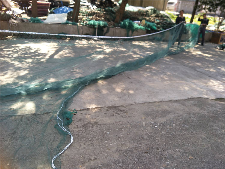 兜网 双翼双囊 双船 拖网 