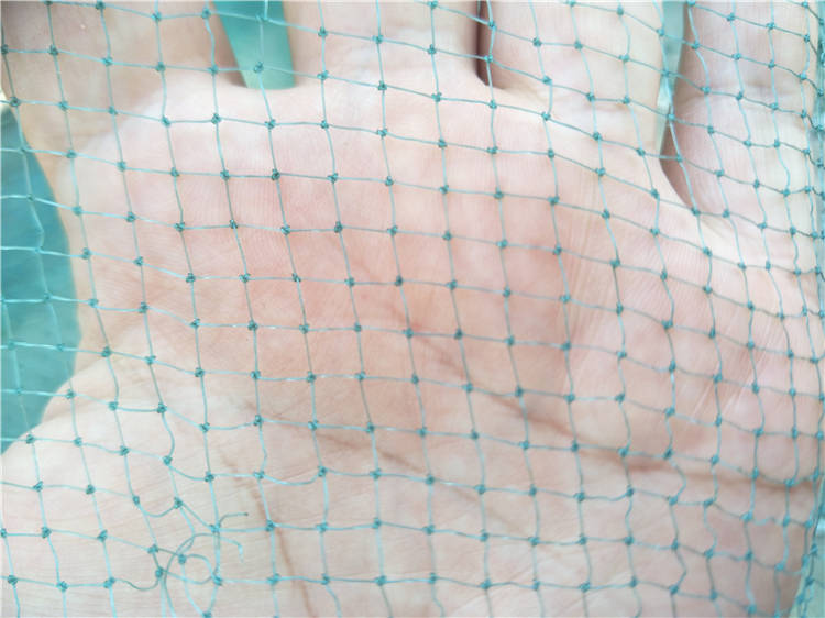 兜网 双翼双囊 双船 拖网 