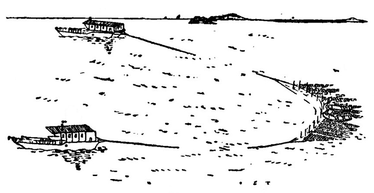 快拖网 无翼多囊拖网 拖网 