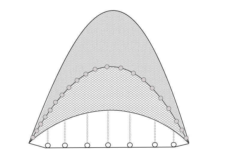 螺蛳拖网 螺蛳拖 桁杆底拖网 拖网