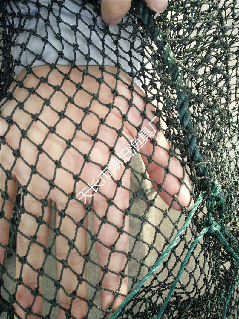 螺丝拖网 螺蛳拖 桁杆底拖网 