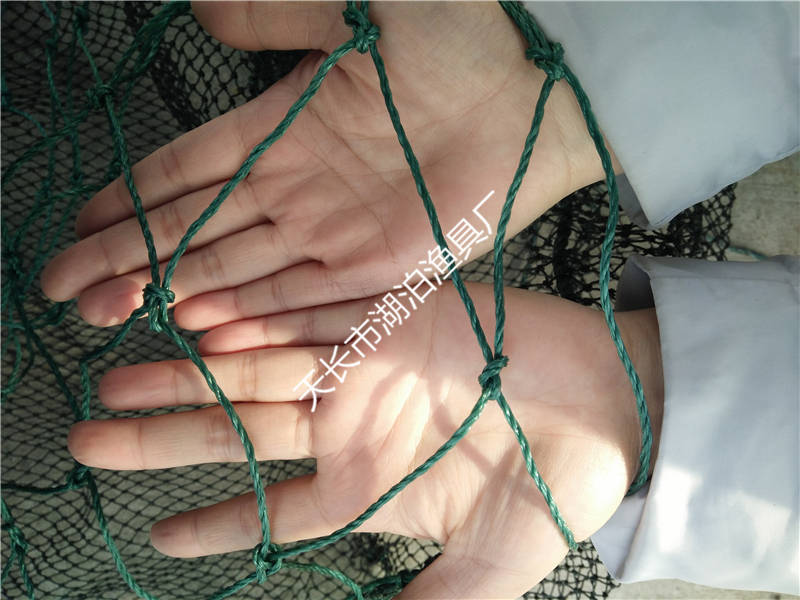 螺丝拖网 螺蛳拖 桁杆底拖网 