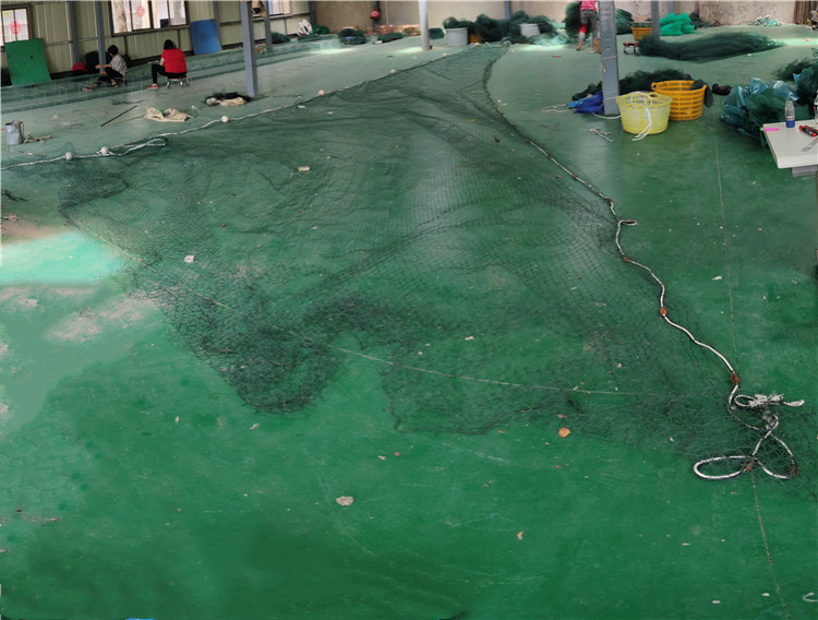 疏目拖网 水库拖网 拖网 有翼多囊 中层拖网