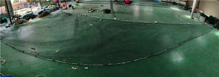 疏目拖网 水库拖网 拖网 有翼多囊 中层拖网