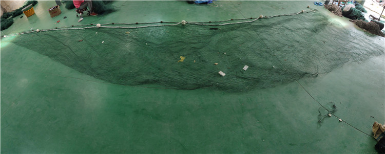 疏目拖网 水库拖网 拖网 有翼多囊 中层拖网