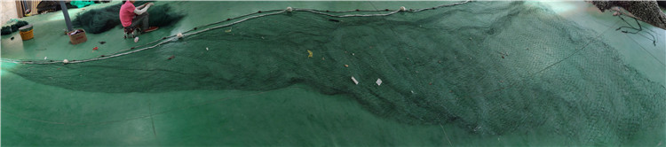 疏目拖网 水库拖网 拖网 有翼多囊 中层拖网