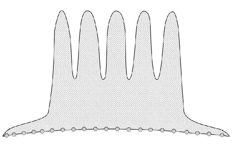 疏目拖网 水库拖网 有翼多囊 拖网