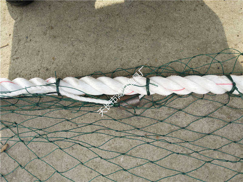 疏目拖网 水库拖网 拖网 有翼多囊 中层拖网