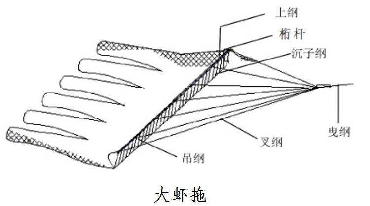 虾拖网 虾拖 淡水 拖网 桁杆底拖网 