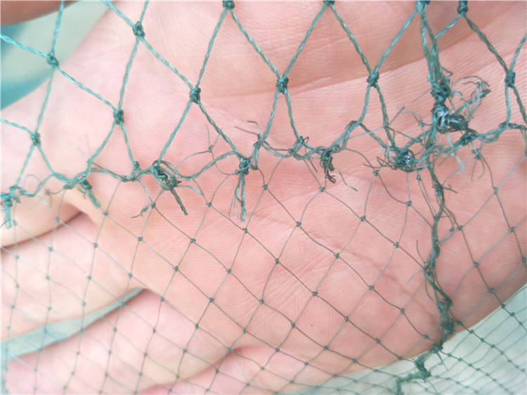 银鱼拖网 银鱼拖 搬网 小搬网 大搬网 拖网