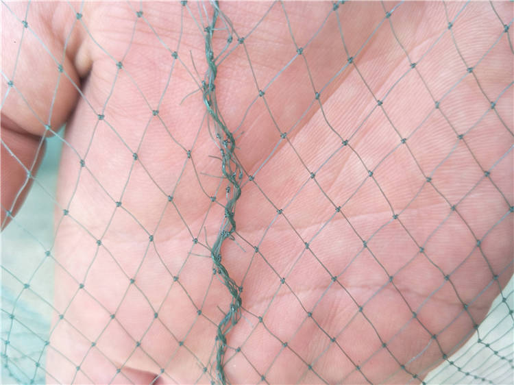 银鱼拖网 银鱼拖 搬网 小搬网 大搬网 拖网