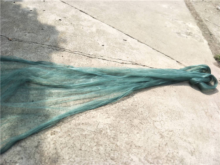 银鱼拖网 银鱼拖 搬网 小搬网 大搬网 拖网