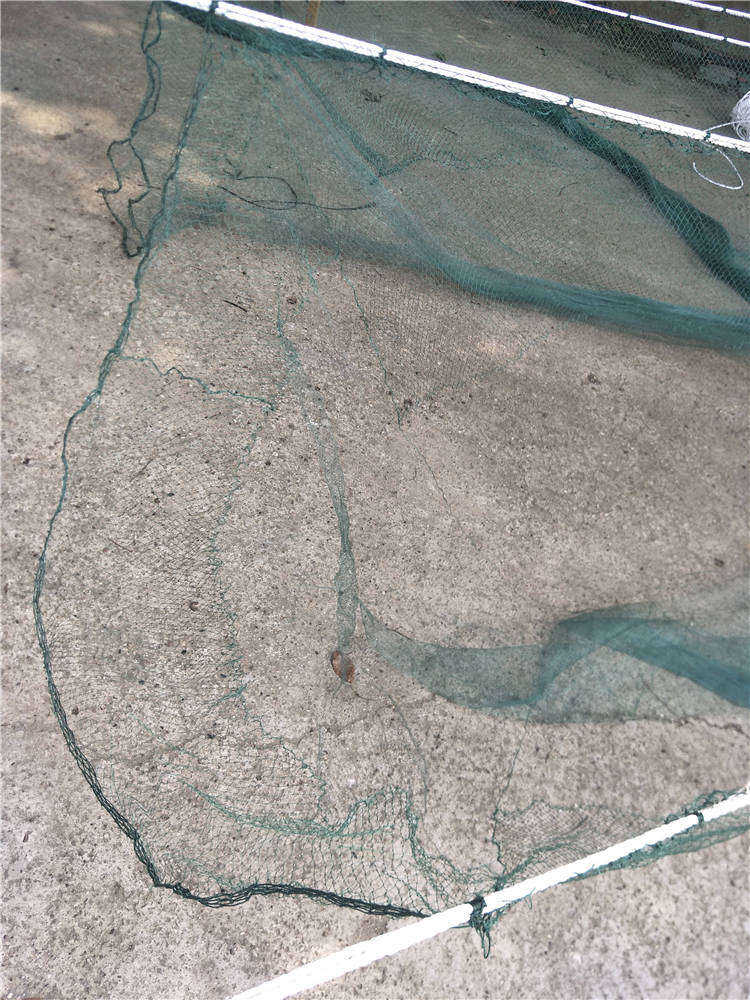 银鱼拖网 银鱼拖 搬网 小搬网 大搬网 拖网