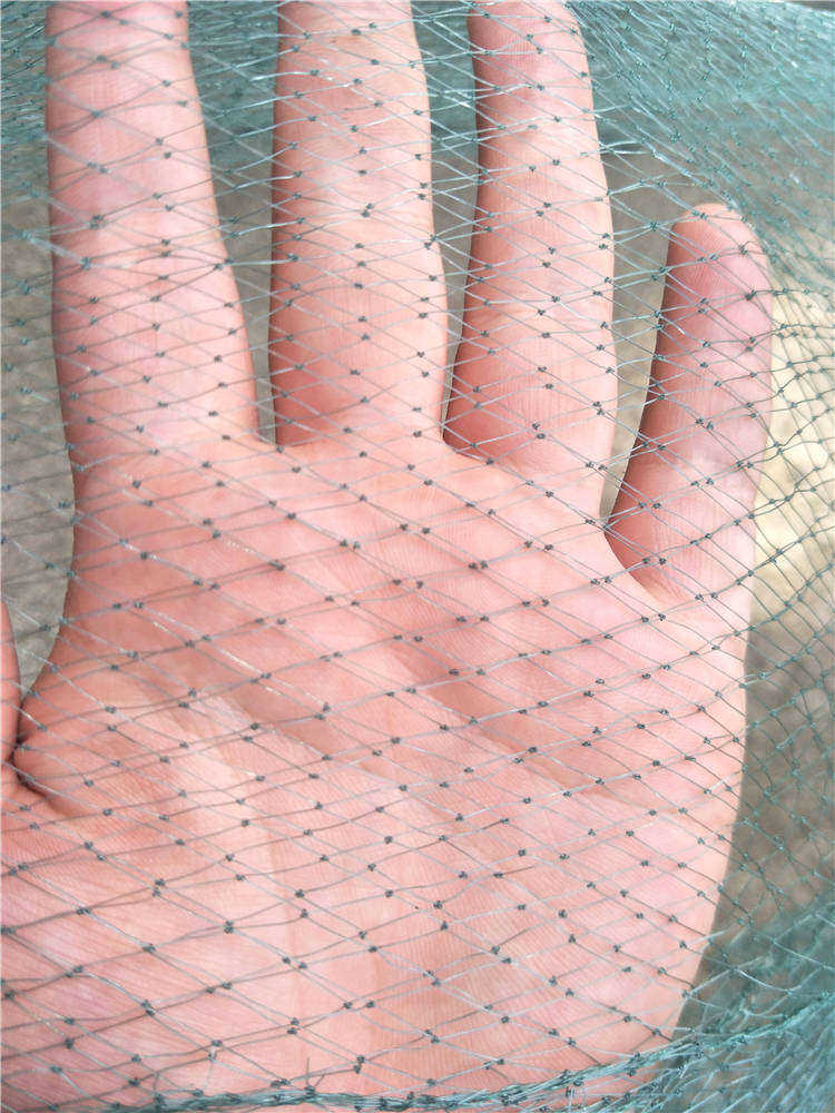 银鱼拖网 银鱼拖 搬网 小搬网 大搬网 拖网