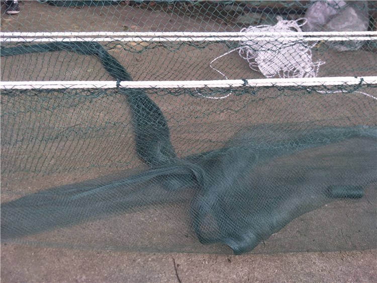 银鱼拖网 银鱼拖 搬网 小搬网 大搬网 拖网