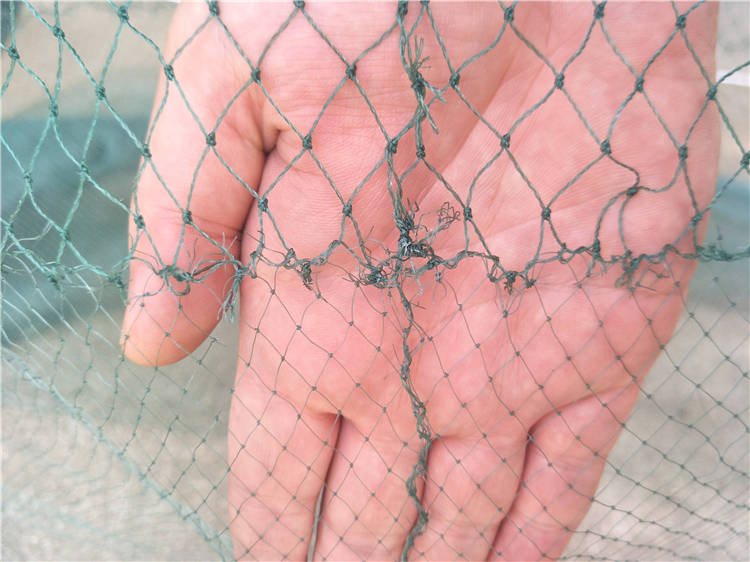 银鱼拖网 银鱼拖 搬网 小搬网 大搬网 拖网