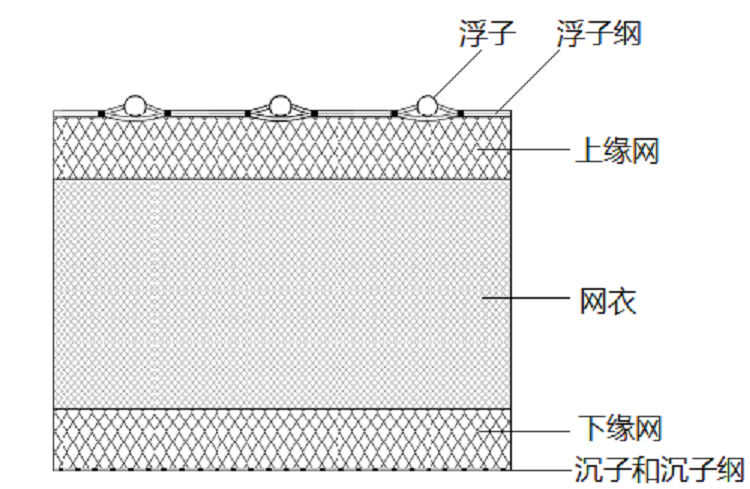 有结网 小拉网