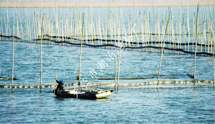 网围 防逃网 围网网墙