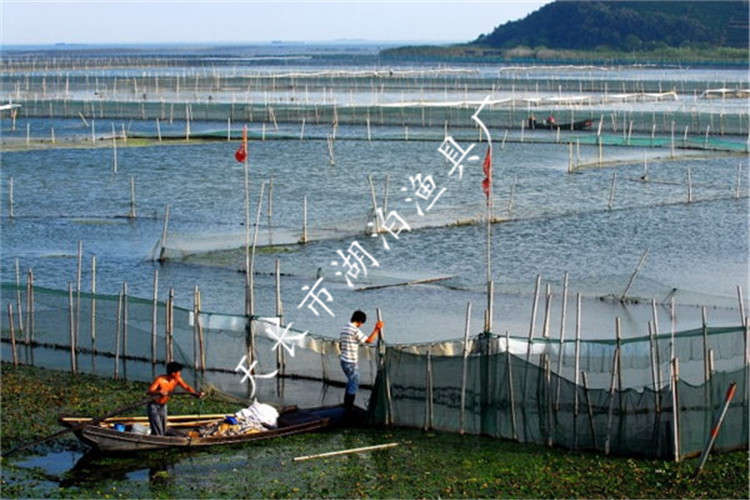 网围 防逃网 围网网墙