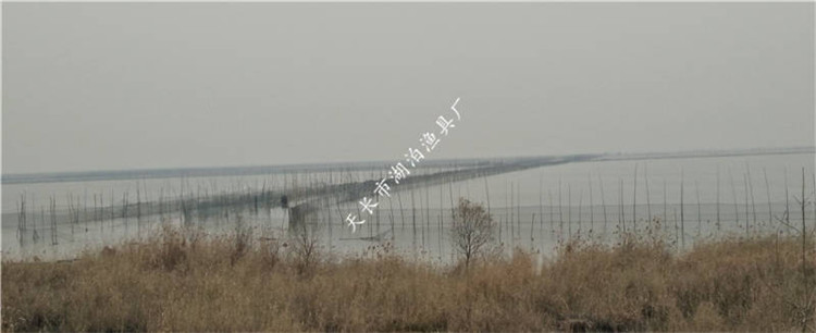 网围 防逃网 围网网墙