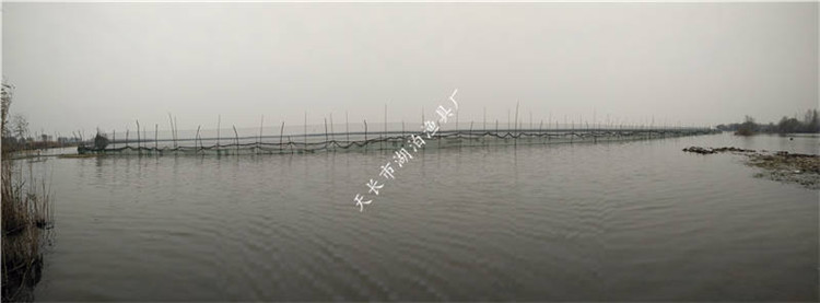 网围 防逃网 围网网墙