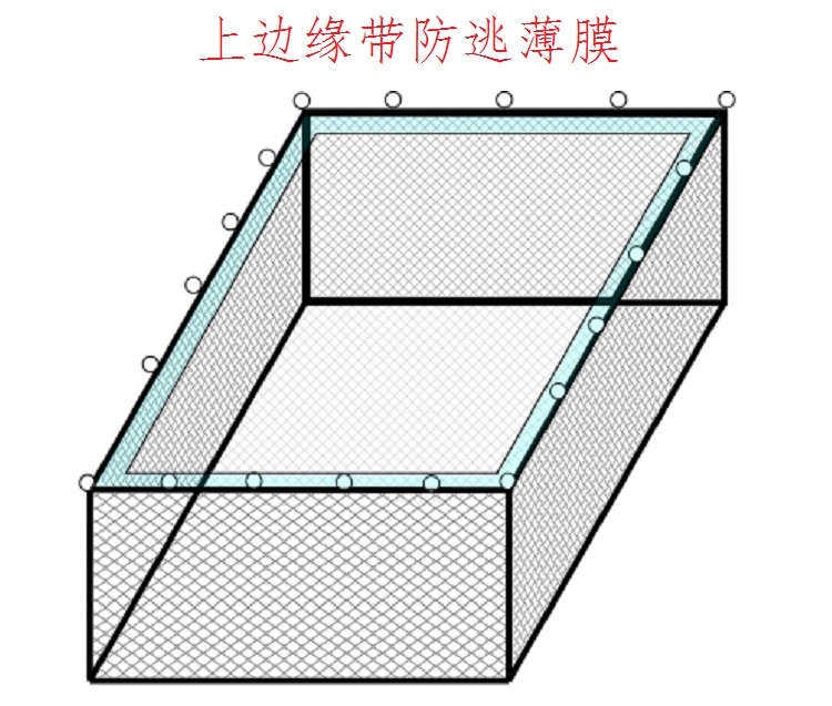 网箱 防逃网箱 多层网箱