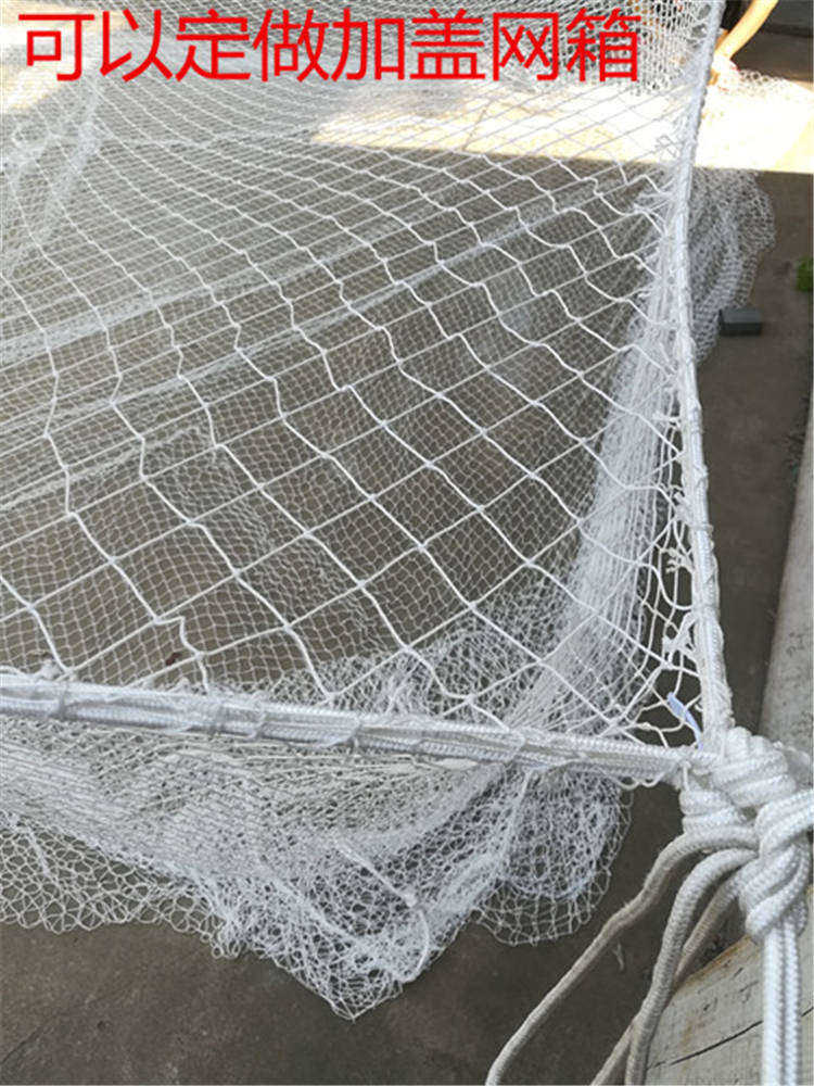 网箱 防逃网箱 多层网箱