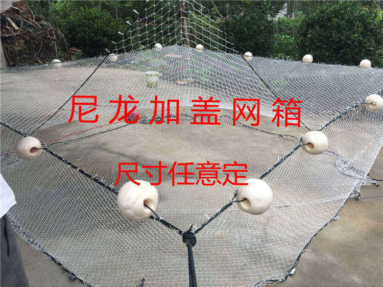 网箱 防逃网箱 多层网箱