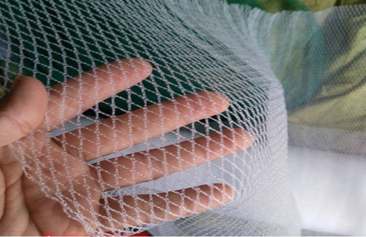 聚乙烯 无结网 聚乙烯无结网